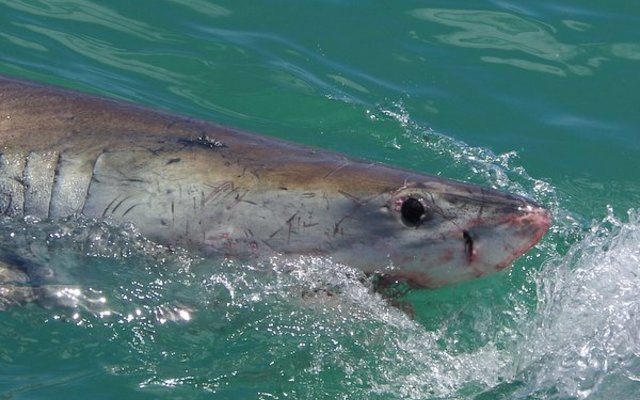 20141118_SF_Trip1_TKaschke_IMG_0035