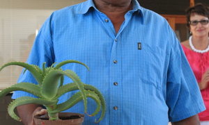 Winners - Blompark Garden Competition