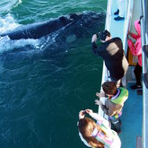 A view from the top deck.