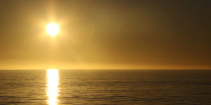 Sunset Whale Trip recent photos.