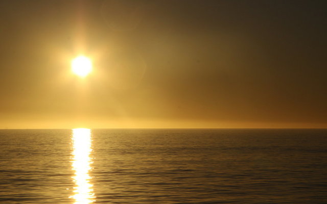 Sunset Whale Trip recent photos.