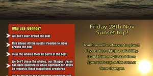 Sunset Whale Cruise Flyer for teh 28th Nov