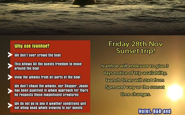 Sunset Whale Cruise Flyer for teh 28th Nov