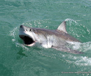 Marine Dynamics Blog update