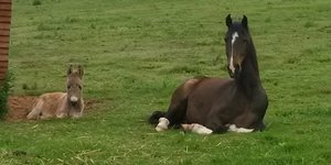 20141015_075134_resized