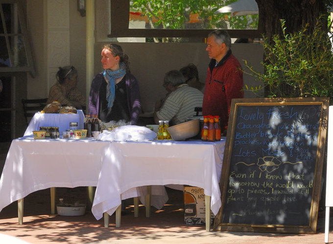 KockMD-20081025_1368