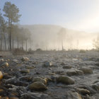 River at Dawn River at Dawn