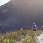 Through winding paths