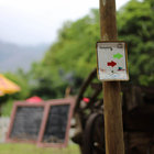 MTB Green and Red Routes