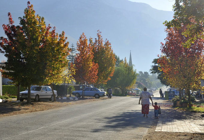 KockMD-FallColours-4896