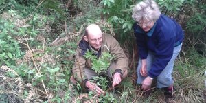 Planting a tree at Stinkhoutsbos