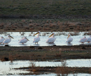 Escape to De Hoop for some birding photography and enter to win!