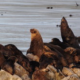 Pretty crowded up here