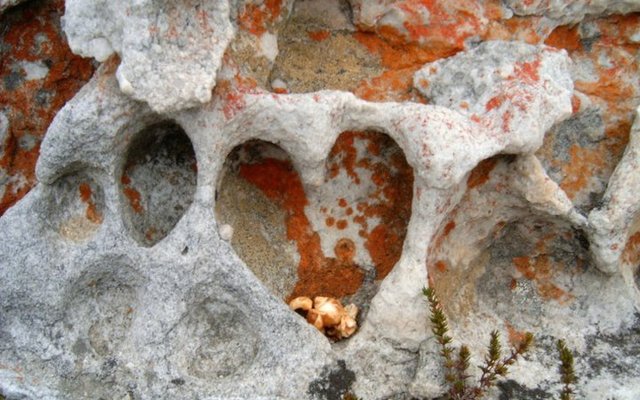 Valentine's Weekend Special at Quad Explore