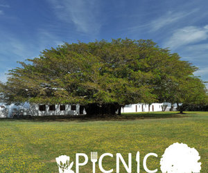 Picnic Season at De Hoop!