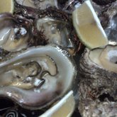 Wild Cape Rock Oysters @ Blue Goose