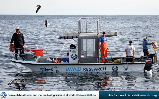 Our research vessel, Lwazi