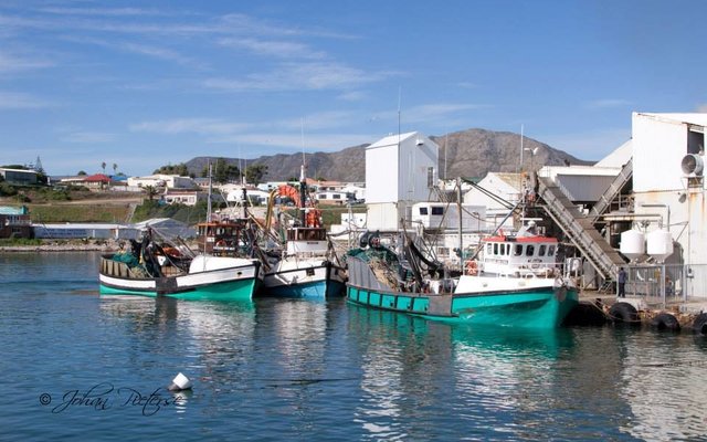 Gansbaai Harbour