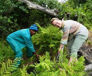 Sharing our fynbos landscape