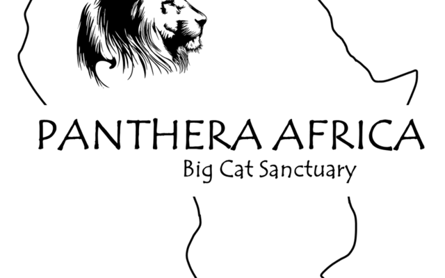 Panthera Africa Opening