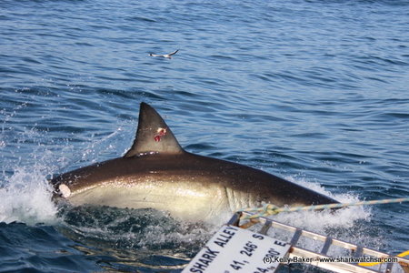 "X" visiting us back in 2014