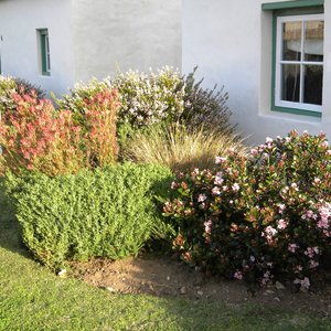 After Winter comes Spring!