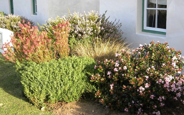 After Winter comes Spring!