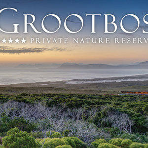 Grootbos Private Nature Reserve