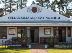 1. Wine Tasting in the Cape Floral Kingdom