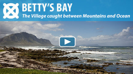 WATCH THE VIDEO: Welcome to Betty's Bay!