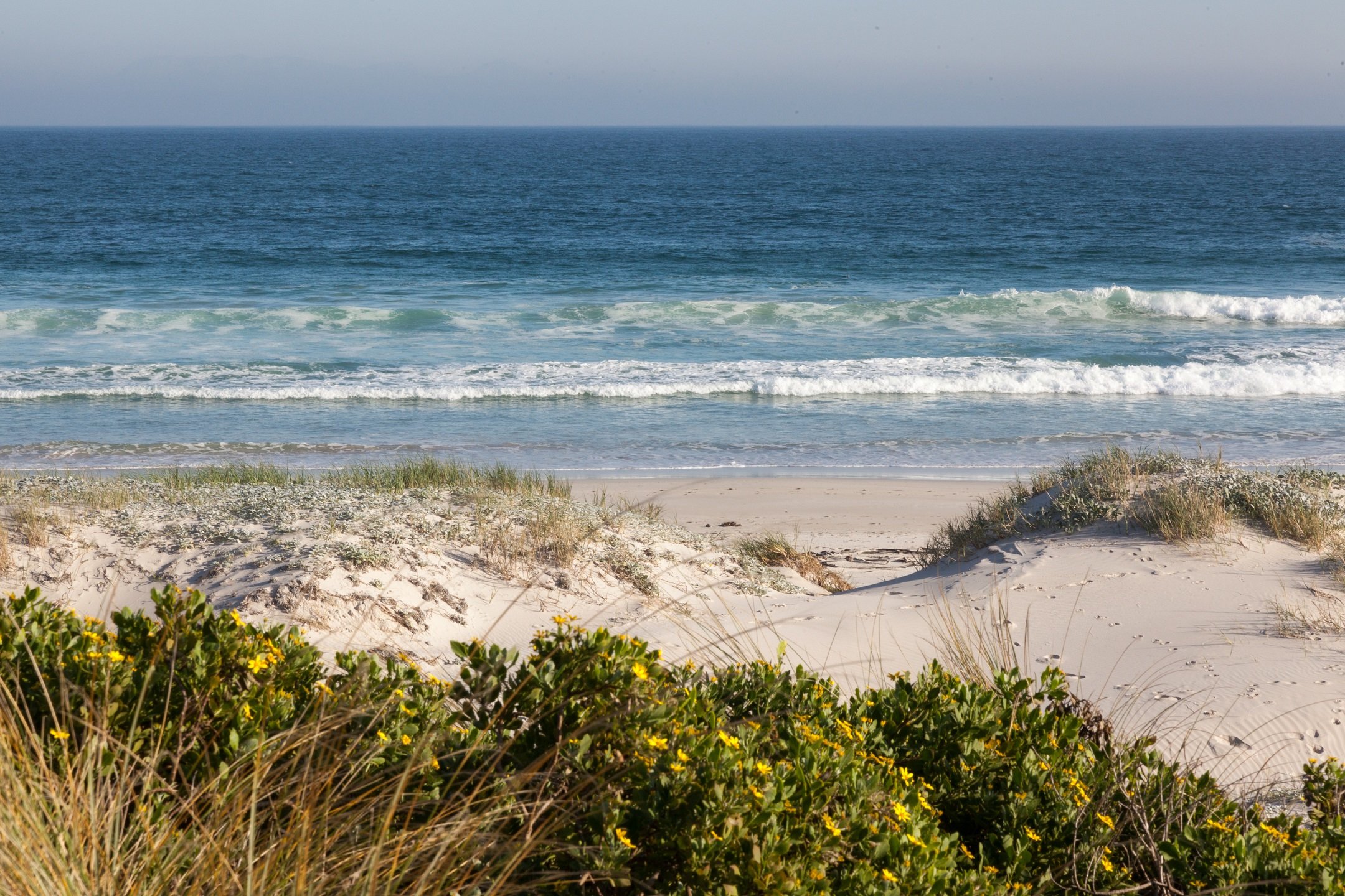 pringle-bay-beach-views-3