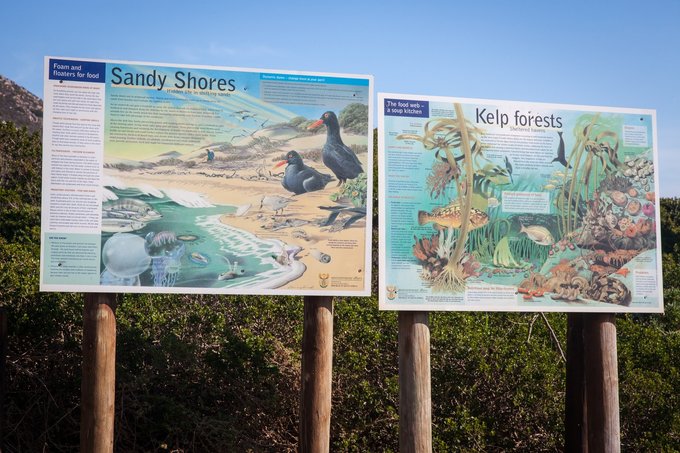 pringle-bay-beach-signs