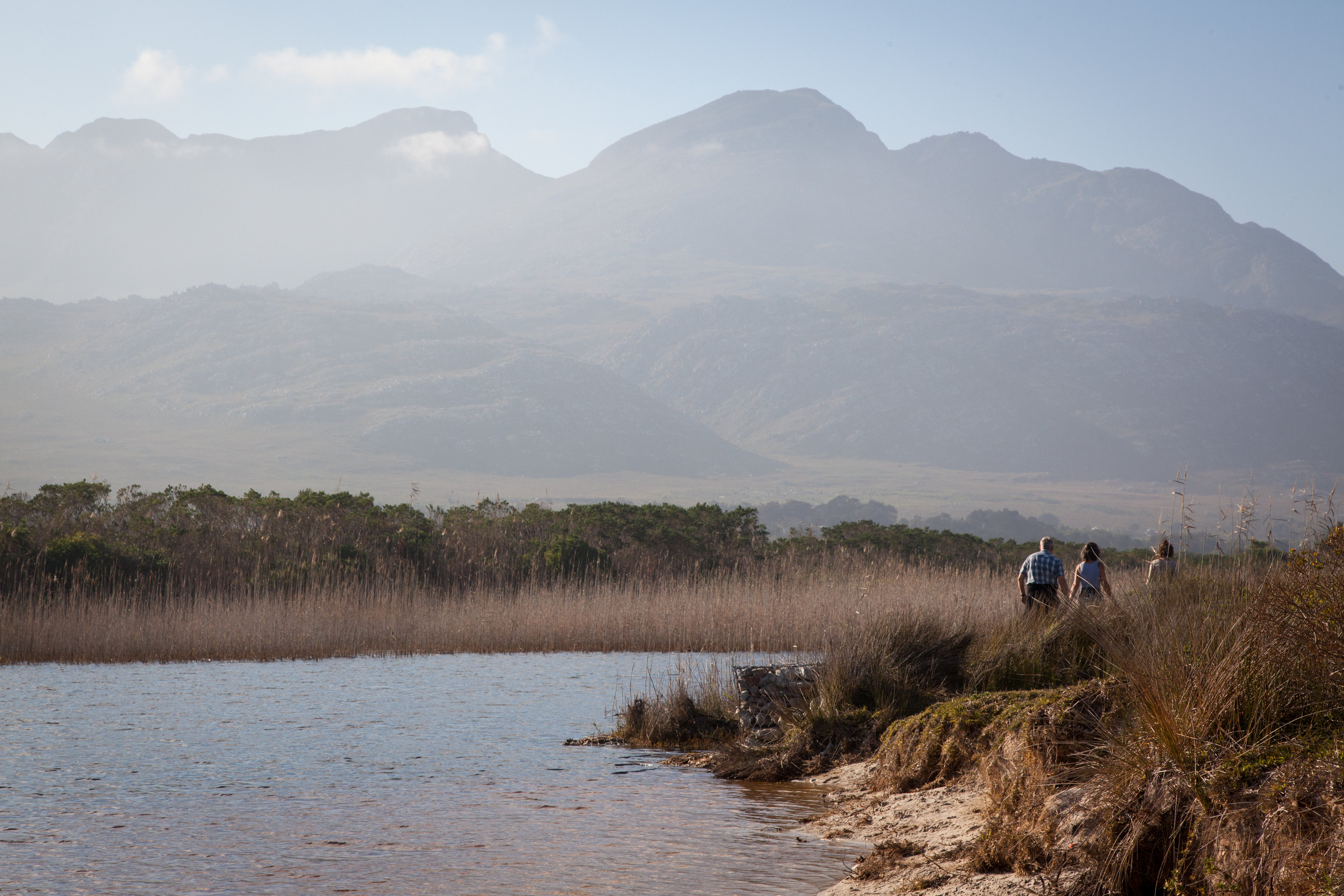 pringle-bay-lagoon-walk