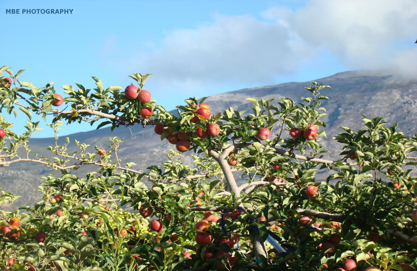 Villiersdorp-Elandskloof-Valley2