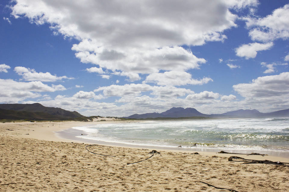 blue-flag-beach-kleinmond