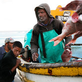 Fishing Boats - Arniston Spa Hotel