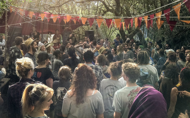Jamming in the Southernmost Forest in Africa