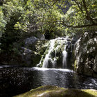 Swimming by Waterfalls