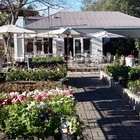 Fiore Coffee Shop and Tea Garden