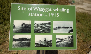 The Old Whaling Station