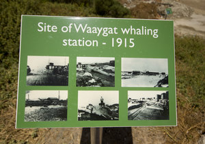 The Old Whaling Station