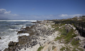 Derek Hanekom Unveils the Stony Point Eco-Centre