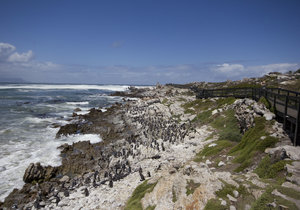 Derek Hanekom Unveils the Stony Point Eco-Centre