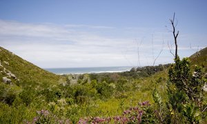 The Top 5 Outdoor Adventures in Betty's Bay