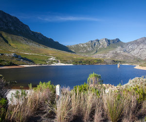 Pringle Bay & Rooi Els - the Nearby Attractions