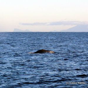 20150701_SF_Trip1_OKeller_IMG_00009