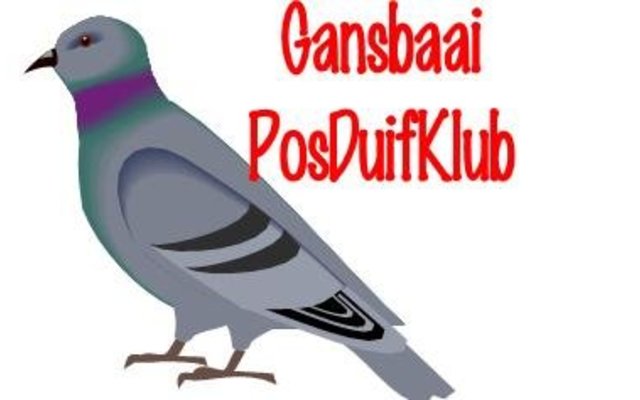 GansbaaiPosDuifKlub_1