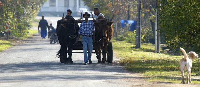 KockMDOxenOakStreet_high_res