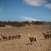 Our beautiful Overberg venue!