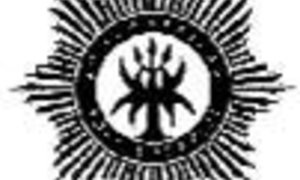 Reeksnommers vir artikels